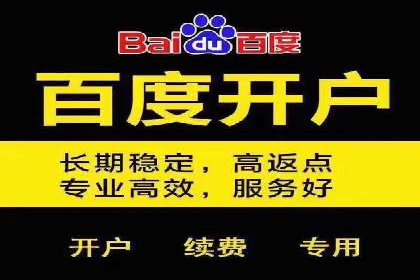 谷歌竞价案例：快速提升品牌影响力的广告策略